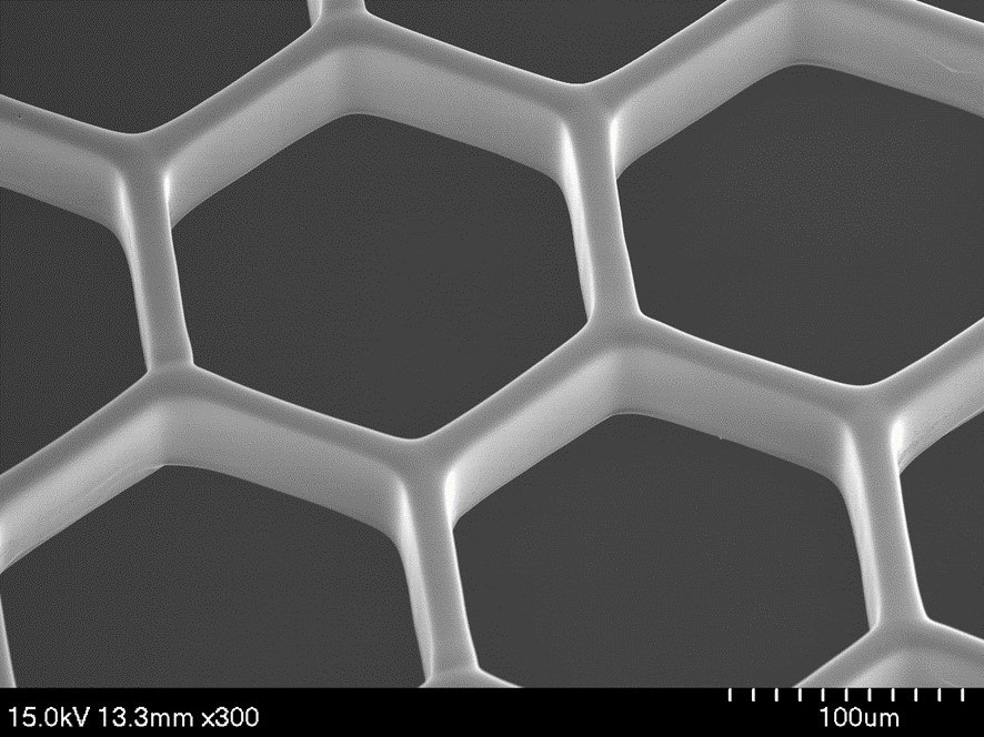 Cardiac Tissue Scaffold